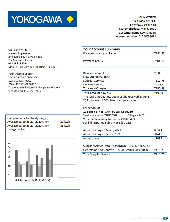 Kazakhstan Yokogawa Electric Kazakhstan utility bill template in Word and PDF format (.doc and .pdf)